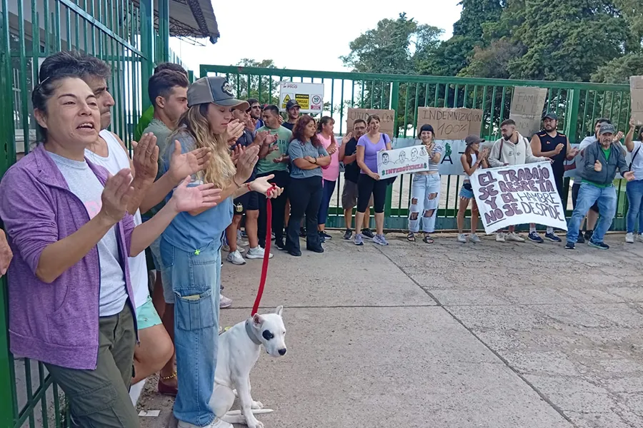 Reclamo-frigorifico2